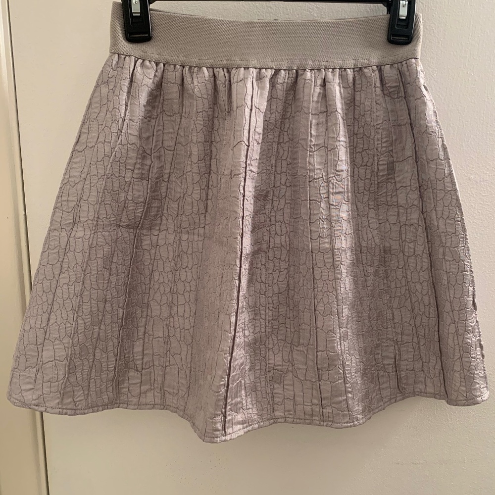 Grey Skirt